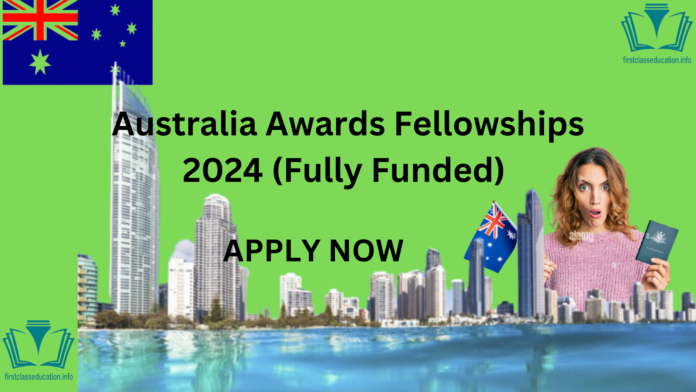 If you want to move to Australia to gain educational or professional experience, you must check out the Australia Awards Fellowships 2024.