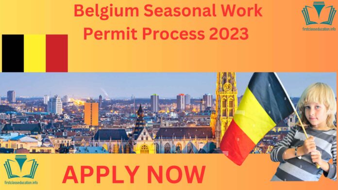 Belgium Seasonal Work Permit Process 2023