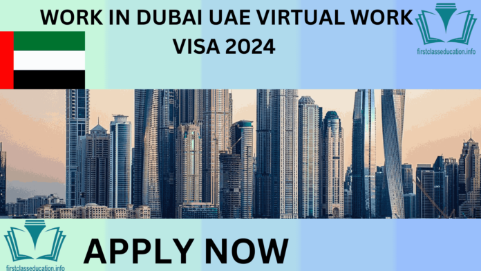 WORK IN DUBAI UAE VIRTUAL WORK VISA 2024